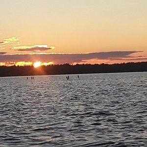 Meet your Posher, Magen